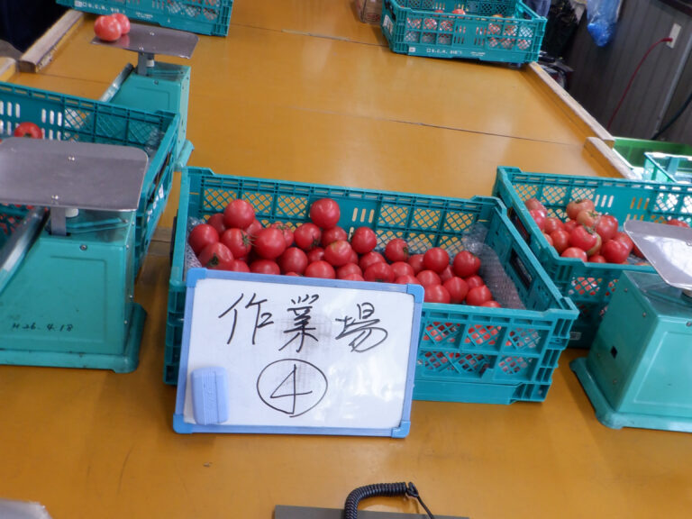 写真機械_001トリミング